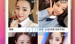 91直播91,揭秘热门直播平台的魅力与挑战